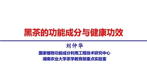 茶的功能成分與健康功效 | 茶、飲茶與健康