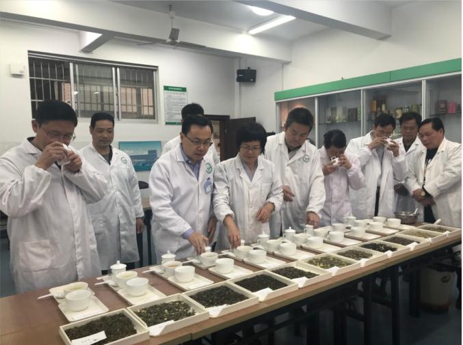 瀟湘茶業(yè)開展花茶審評和座談會，劉仲華院士等專家共謀花茶產(chǎn)業(yè)發(fā)展
