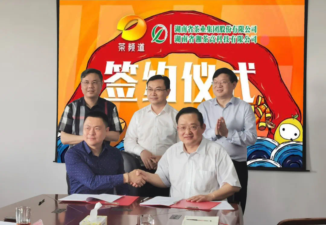 院士見證，輕輕茶發(fā)力品牌建設(shè)，與茶頻道達成深度合作